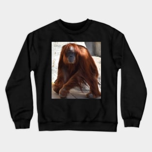 Orangutan Crewneck Sweatshirt